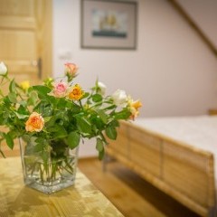 SOSNA willa góry Tatry Zakopane Kościelisko noclegi wypoczynek w Polsce